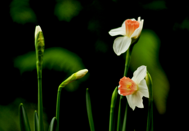 各人都做生态文明建设的实践者、推动者（生态论苑）