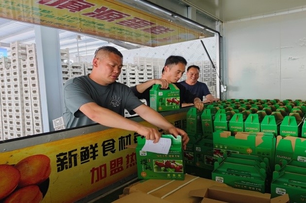 墟落振兴事情动态（第169期）