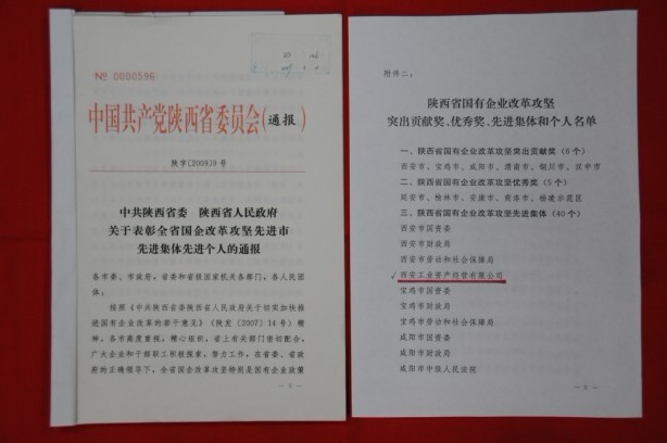 2009年2月，被陕西省委、省政府授予陕西省国有企业刷新攻坚先进整体